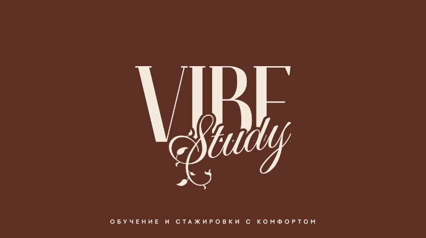 Больше про VIBE Study и возможность инвестировать